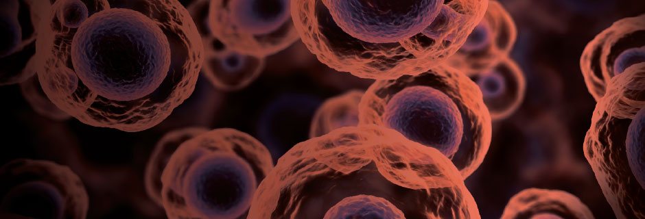 Research and Development Tax Incentives for the Life Sciences Industries