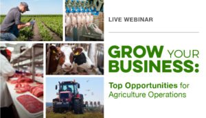 Grow Your Business