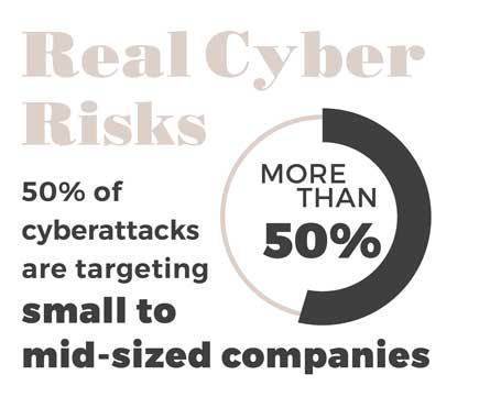 Cyber Security Risks