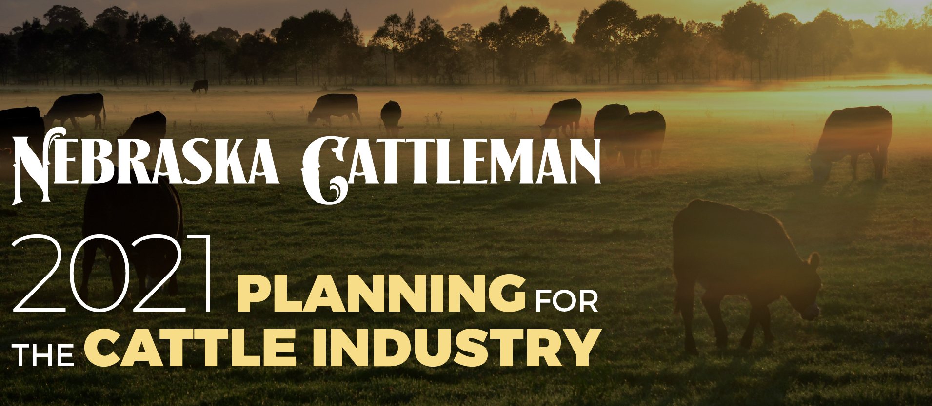 2021 Planning for the Cattle Industry, alliantgroup