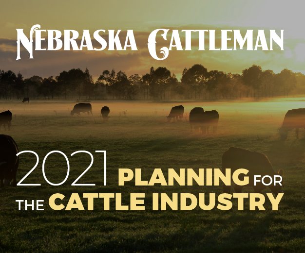 2021 Planning for the Cattle Industry, alliantgroup